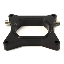 Load image into Gallery viewer, Ford 1996-2004 2V Mustang Plate System (12lb Bottle)
