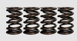 Ferrea 05-12 Can Am 800R Rotax Twin 18.23/25.19mm OD 13.4/18.23mm ID Dual Valve Springs - Set of 4