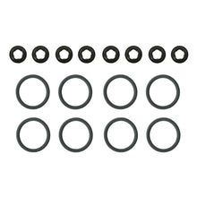 Load image into Gallery viewer, Photo - Primary