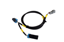 Load image into Gallery viewer, AEM CD-7/CD-7L Plug and Play Adapter Harness for Holley EFI