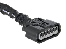 Load image into Gallery viewer, Photo - Unmounted