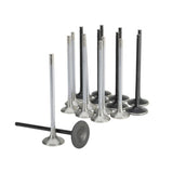Skunk2 Honda K20C1 Alpha Series Intake & Exhaust Valve Set (Standard Compression)