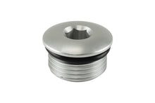 Load image into Gallery viewer, Turbosmart -12AN ORB Blank - Clear
