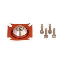 Load image into Gallery viewer, Photo - Primary