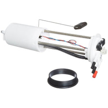 Load image into Gallery viewer, User 1