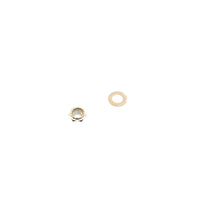 Load image into Gallery viewer, Photo - Close Up