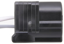 Load image into Gallery viewer, Photo - out of package