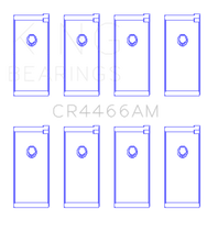 Load image into Gallery viewer, Photo - Primary