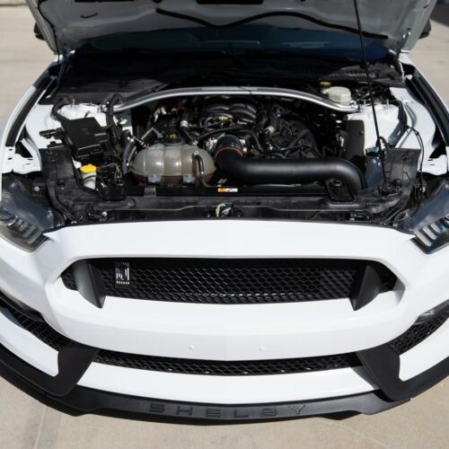 Hellion 2016-2020 Ford Mustang Shelby GT350 Sleeper – Complete Twin Turbo System-Call for price