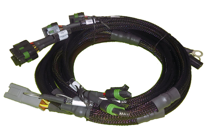 Haltech V8 BB/SB GM/Chrysler Hemi V8 8 Channel Individual High Output IGN-1A Inductive Coil Harness