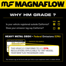 Load image into Gallery viewer, MagnaFlow DF Cat Conv 04-06 Ford F-150 Pick Up (Exc Heritage) / 06 Lincoln Mark LT Truck Driver Side