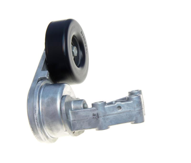 Photo - Primary