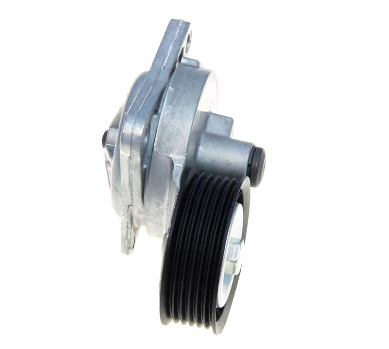 Photo - Primary