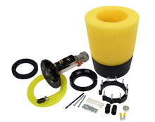 Load image into Gallery viewer, Photo - Primary