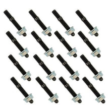 Load image into Gallery viewer, User 1