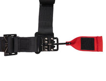 Load image into Gallery viewer, PRP 5.2 Sewn In Harness Latch and Link- Yellow