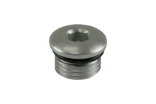 Load image into Gallery viewer, Turbosmart -6AN ORB Blank - Clear