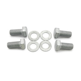 Wilwood bolt kit caliper MT M14-2.00X30MM LG WES072 CL1 silver 4 pack