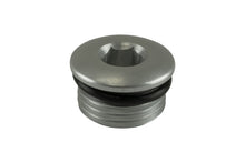 Load image into Gallery viewer, Turbosmart -8AN ORB Blank - Clear