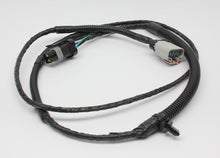 Load image into Gallery viewer, Photo - Primary