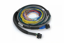 Load image into Gallery viewer, Haltech NEXUS S2/S3 Universal Wire-In Harness Kit - 2.5M (8ft)