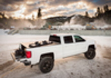 Load image into Gallery viewer, Photo - Mounted
