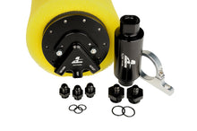 Load image into Gallery viewer, Photo - Primary