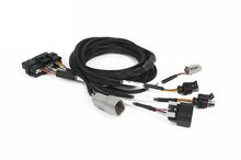 Load image into Gallery viewer, Haltech NEXUS Universal Plug-in IO Expansion Harness - 2.5m (8ft)