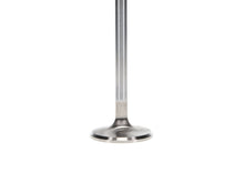 Load image into Gallery viewer, Manley Volkswagen 1.7L 40mm Dia 4.606in Length Race Series Exhaust Valve Kit