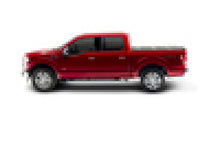 Load image into Gallery viewer, Photo - Mounted