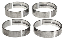 Load image into Gallery viewer, User 1