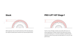 Eibach 10-14 Toyota FJ Cruiser Pro-Truck Stage 1 Plus Kit