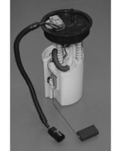 Load image into Gallery viewer, User 1