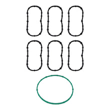 Load image into Gallery viewer, Photo - Primary