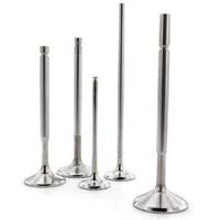 Load image into Gallery viewer, Ferrea 00-03 Yamaha YFM 660 Raptor 30mm Head 5.97mm Stem Dia Competition Intake Valve - Set of 2