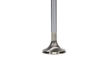 Load image into Gallery viewer, Manley Ford Coyote 5.0L DOHC Race Master 32mm Head 5.96mm Stem 4.274 Length (Set of 8)