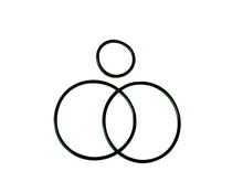 Load image into Gallery viewer, Photo - Primary