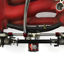 Load image into Gallery viewer, Mopar 1992-2002 Dodge Viper Plate System (12lb Bottle)