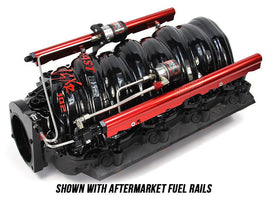 102mm FAST Intake Hard-Lined Plate System with Aftermarket Fuel Rails (No Bottle)