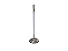 Load image into Gallery viewer, Manley Ford Modular Coyote 5.0L Gen III Race Master Series Exhaust Valve - 1.260in Dia