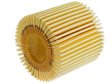 Load image into Gallery viewer, aFe PROGUARD Oil Filter- 4 Pack