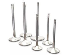 Load image into Gallery viewer, Ferrea Chevrolet Big Block 2.3 Head 11/32 Stem Dia Competition Hollow Stem Intake Valve - Set of 8