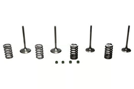 Wiseco 02-06 CRF450R Steel Valve Set