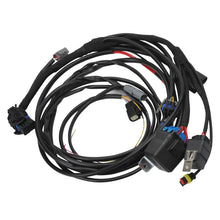 Load image into Gallery viewer, Edelbrock Chevy Gen III/IV LS Pro-Flo 4+ EFI Engine Management System