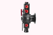 Load image into Gallery viewer, Photo - Close Up