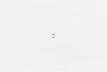 Load image into Gallery viewer, Wilwood retaining ring external SH-25 black phospate