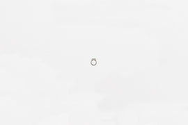 Wilwood retaining ring external SH-25 black phosphate