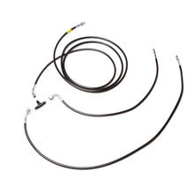 Load image into Gallery viewer, Photo - Primary