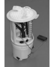 Load image into Gallery viewer, User 1