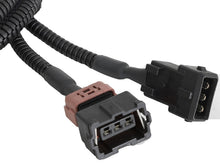 Load image into Gallery viewer, Photo - Unmounted